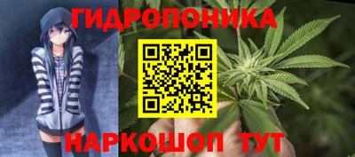 ГАЛЛЮЦИНОГЕННЫЕ ГРИБЫ Нальчик