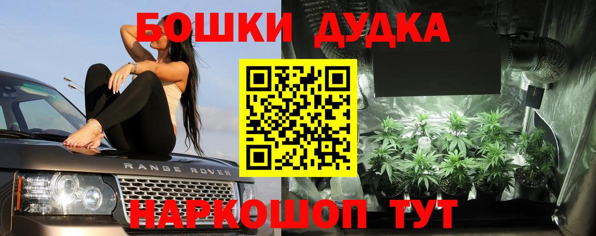 Бошки Шишки планчик Уварово